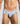 Malebasics New Hipster Brief Spider