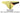 Mens Desire Glaze G - String Private Structure DGUY4025 - Private Structure_DGUY4025_Yellow_S - 7