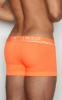 C-IN2 Trunk 1023