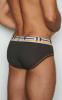 C-IN2 Brief 3313-068