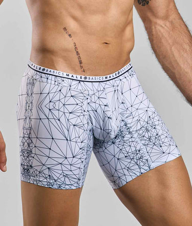 Malebasics New Hipster Boxer Brief Spider