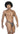 Thong - Mens 3PK Autralian Latin Thongs Clever 100008 - S - Black - Orange - Black - Clever_100008_Black - Orange - Black_S - Clever - 14