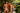 Bikini - Mens Eros Bikini JOR 2156 - S - Petrol - JOR_2156_Petrol_S - JOR - 10
