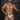 Mens Jacquard Bikini Xtremen 91201 - Xtremen_91201_White_S - 9