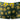 Trunk - Mens Petal Power Pouch Short Male Power 145 - 285 - S - Daisy Print - Male Power_145 - 285_Daisy Print_S - Male Power - 5